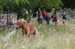 Foto de Mi amigo pony