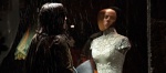 Foto de El vestido de la novia