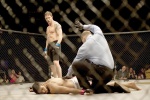 Foto de Warrior
