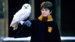 Foto de Harry Potter y la piedra filosofal