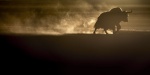 Foto de El leopardo de las nieves