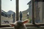 Foto de Lamb