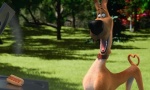 Foto de Marmaduke