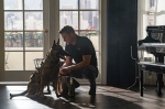 Foto de Dog. Un viaje salvaje