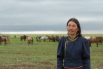 Foto de Los dos caballos de Genghis Khan 