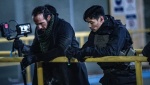 Foto de Wolf Pack