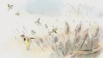 Foto de La isla de las aves