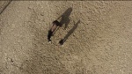 Foto de Hermano caballo
