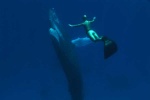 Foto de The Cove