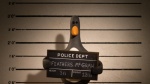 Foto de Wallace y Gromit: La venganza se sirve con plumas