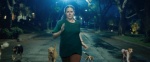 Foto de Canina