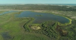 Foto de Doñana, donde el agua es sagrada