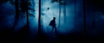 Foto de The Wildman of Shaggy Creek