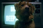 Foto de Good Boy