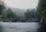 Foto de La sabana y la montaña