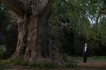 Foto de Silent Friend